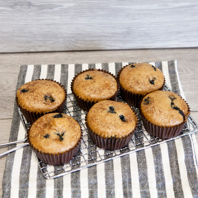 6-Pack of Muffins (SHIP or pickup)
