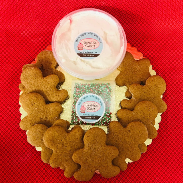 TEN Gingerbread cookie decorating kit (ship)