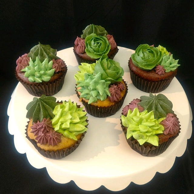 6 Succulent Cupcakes (pickup only)